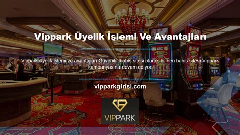Vippark Giriş Sorunu ve Çözüm Yolları
